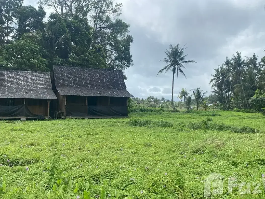 Land for sale in Ubud, Bali - Image 4 of 5