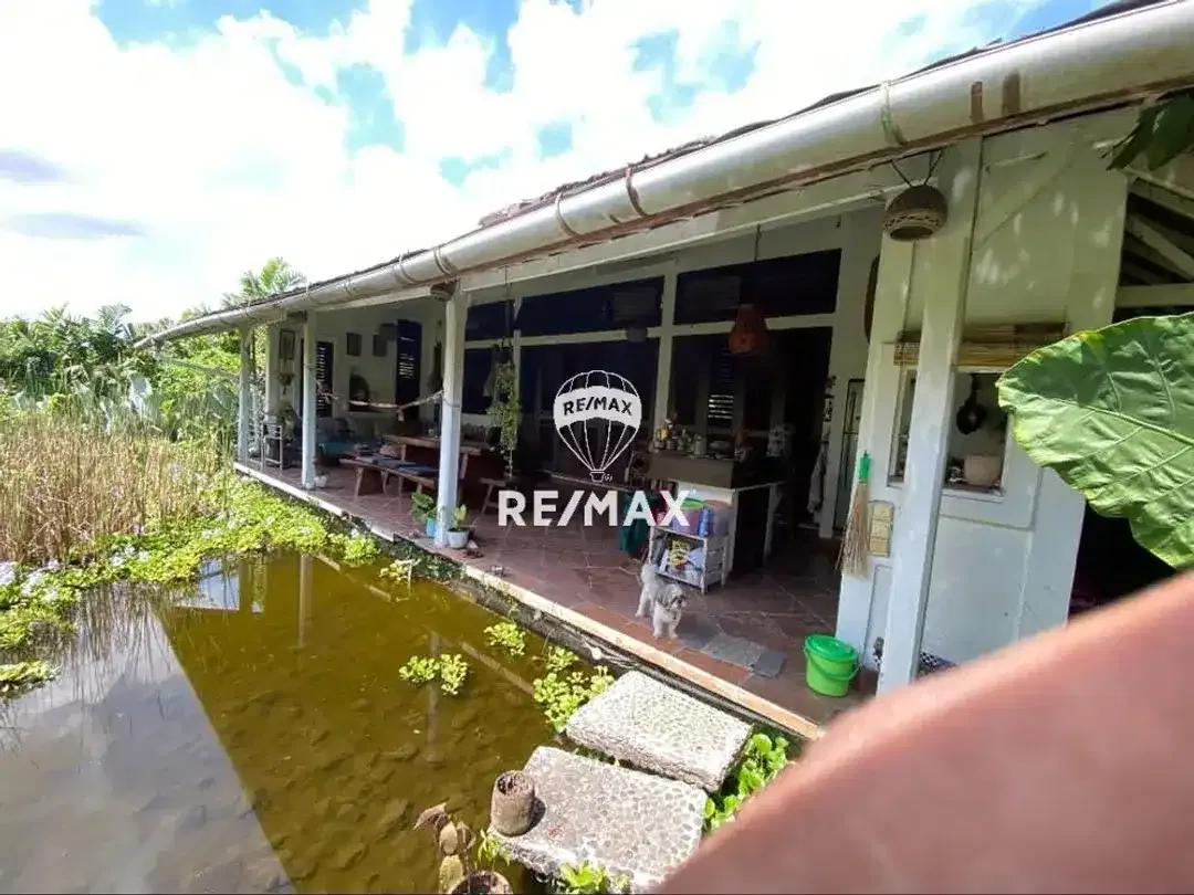 DIJUAL MURAH TANAH DAN BANGUNAN DI DAERAH CANGGU BALI - Image 4 of 4