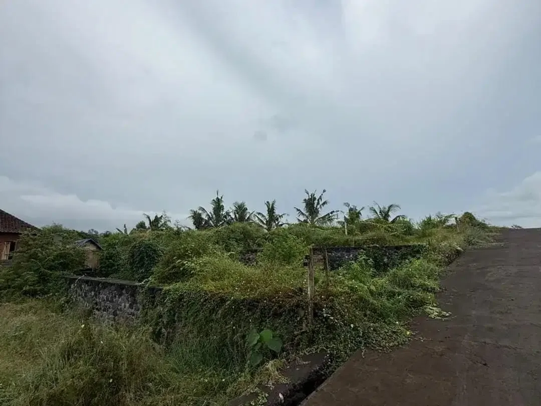 Dijula Tanah Blahbatu Gianyar Dekat Pantai - Image 3 of 6