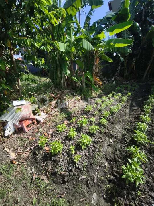 Tanah 2 Are Zona Kuning di Lukluk View Sawah - Image 4 of 4