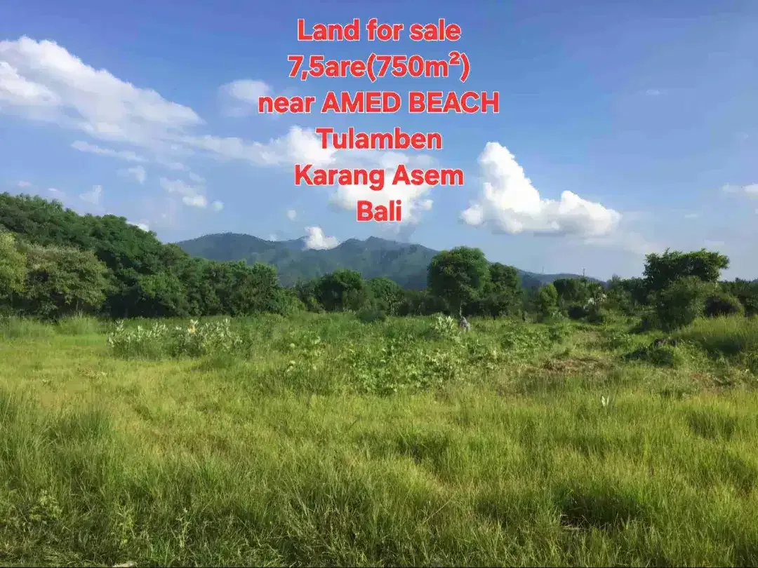 LAND FOR SALE 7,5 ARE view AMED BEACH, Tulamben KARANG ASEM BALI - Image 8 of 10