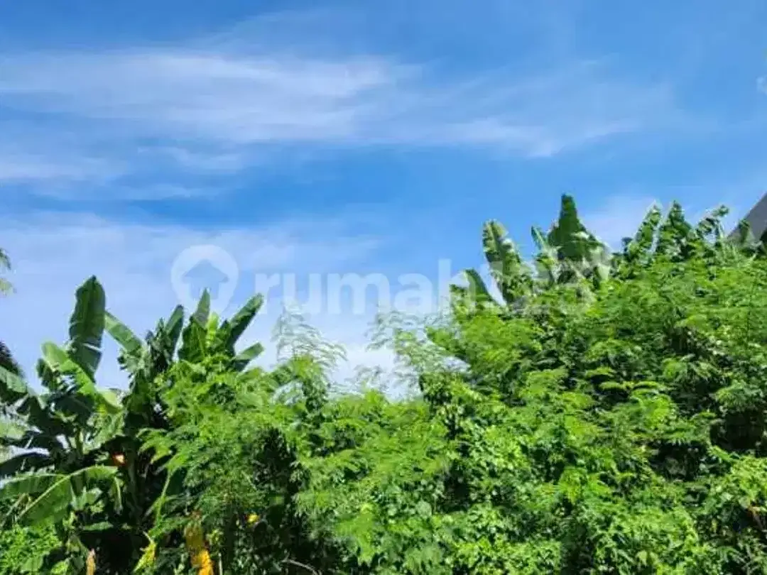 Prime Business Land di Sunset Road Kuta Bali- High Traffic, High Profit! - Image 2 of 5