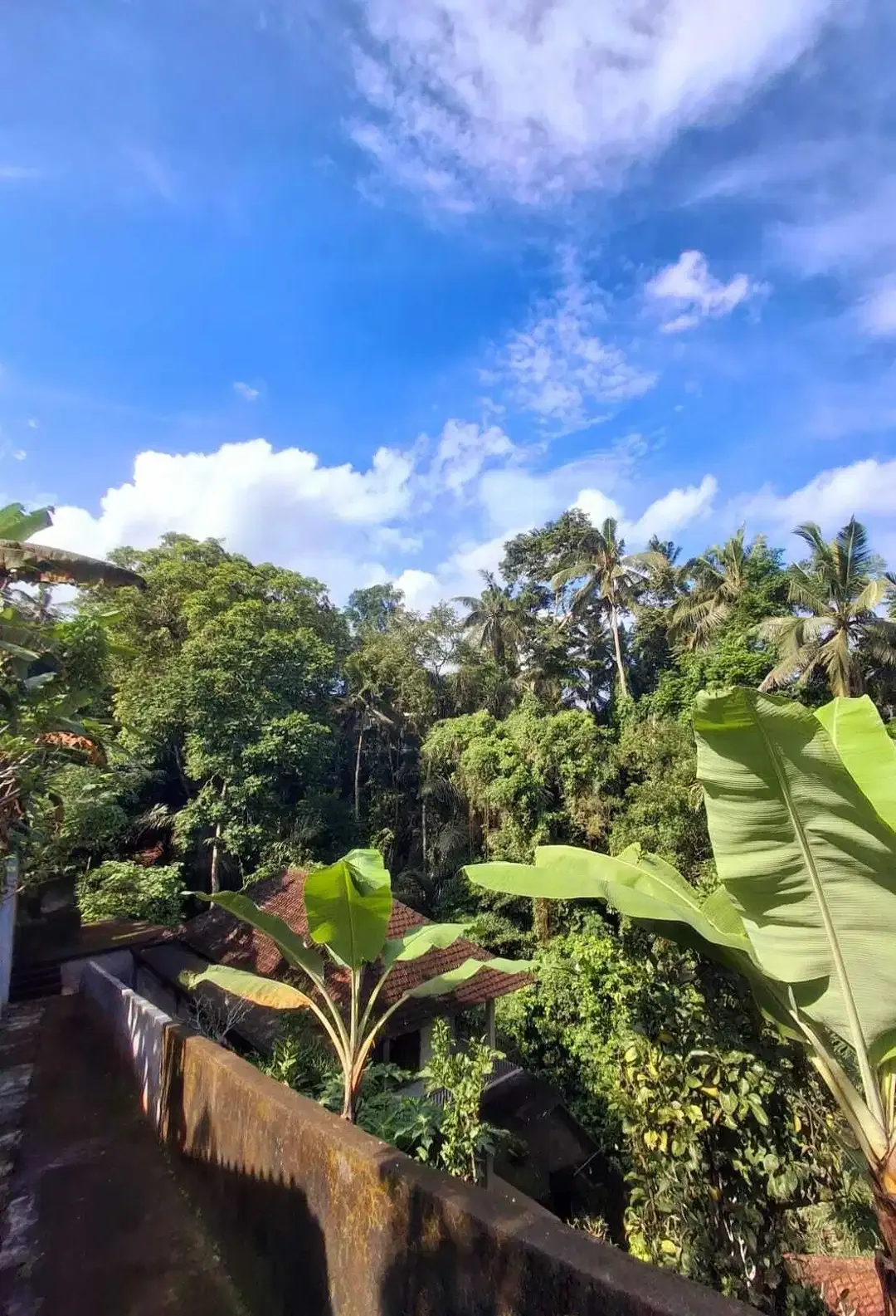 Villa Murah Los Sungai View Lembah Dekat Central Ubud di Jalan Suweta - Image 5 of 7