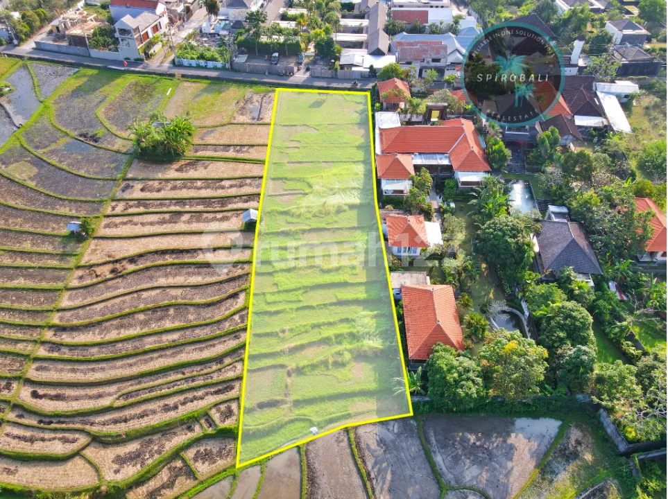 Dijual Tanah Premium di Umalas 20 Are - Image 2 of 4