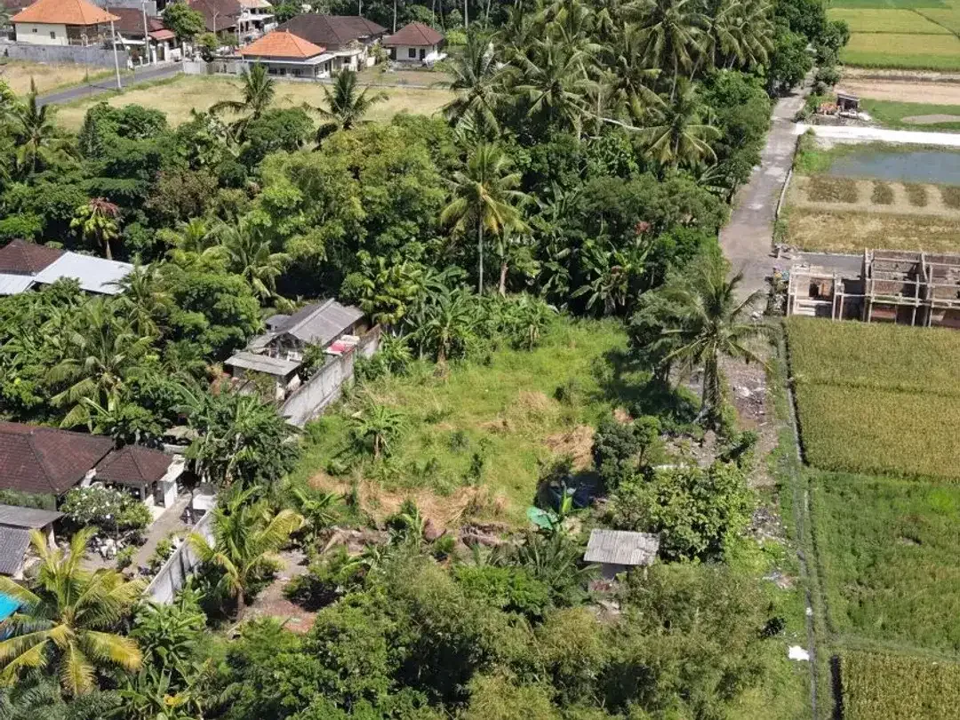 LAND FOR LEASE – KEDUNGU, BALI - Image 6 of 6