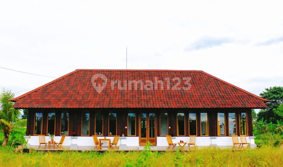 Dijual Bungalow Luas 15 Are View Gunung dan Sawah di Jl Raya Perasi Pertima Karangasem Bali - Image 2 of 4