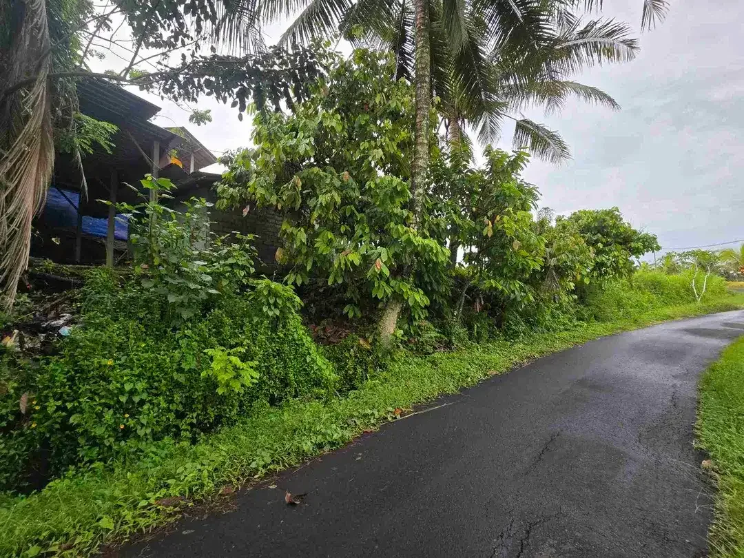 Dijual tanah view exotik sawah dan gunung di tabanan bali - Image 8 of 10
