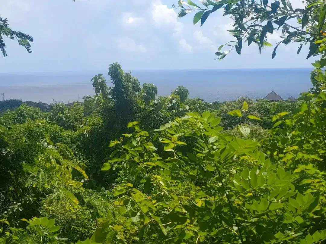Tanah Ocean View Raya Nusa Dua Badung Bali - Image 5 of 10