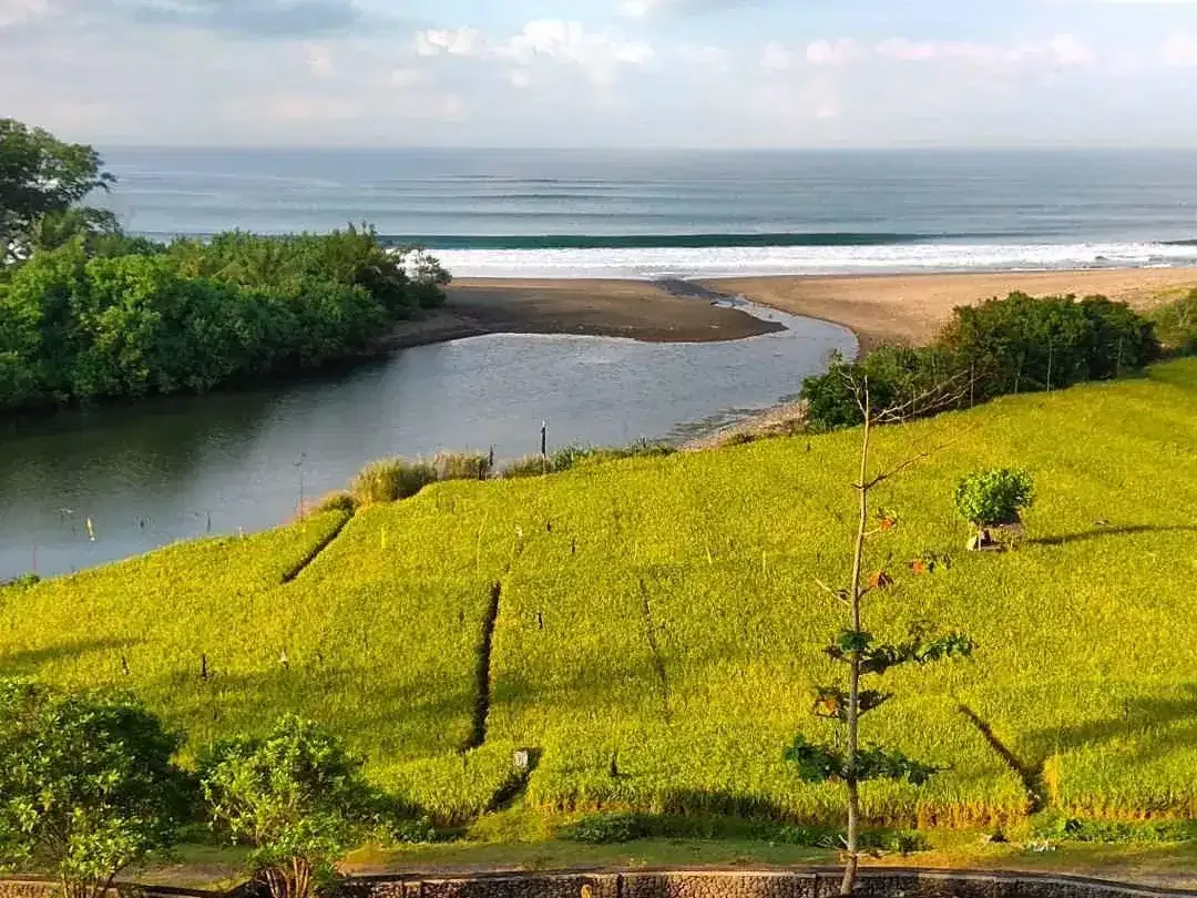 Villa for Sale  Absolute Nature Retreat in Medewi Beach, West Bali - Image 2 of 9