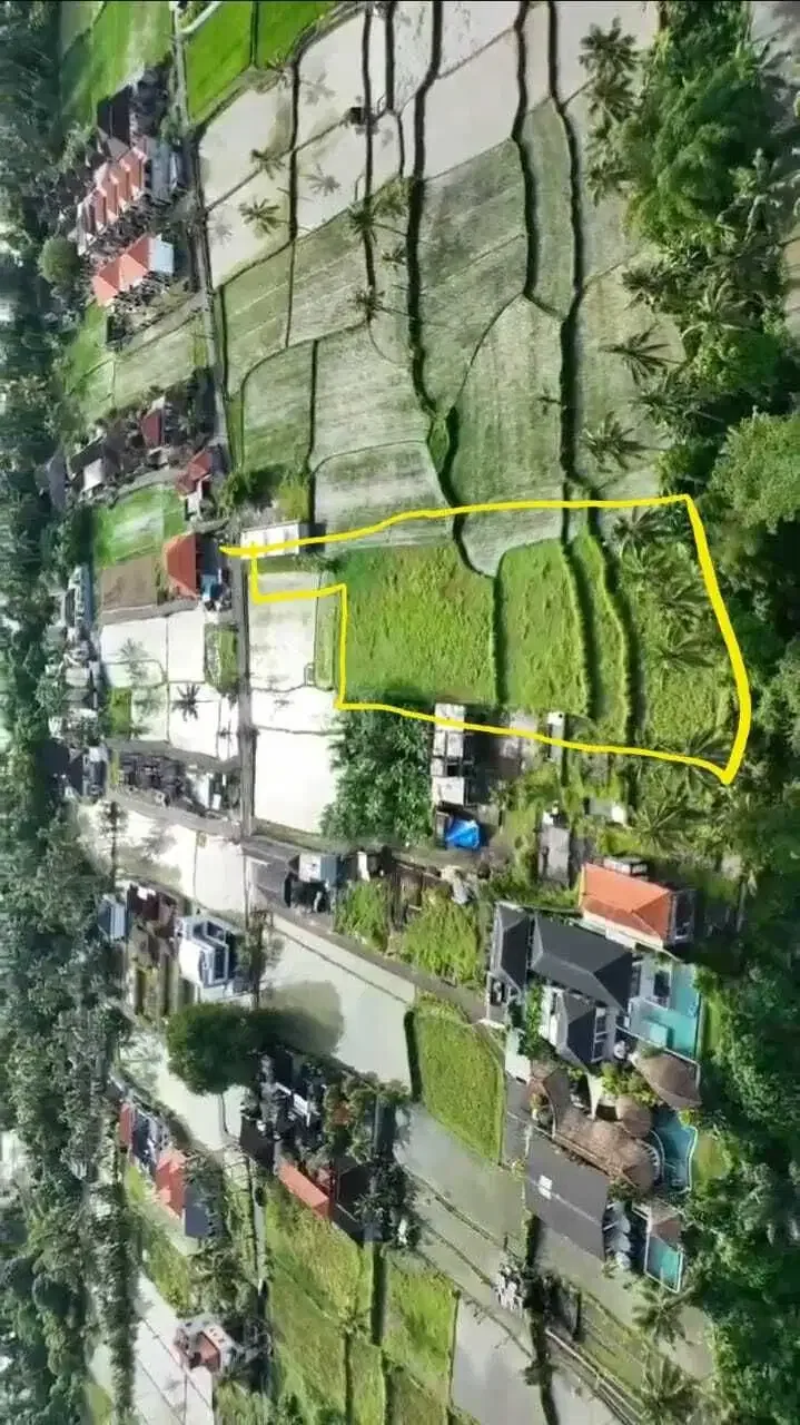 Tanah Siap Bangun View Sawah di Pejeng Ubud - Image 10 of 10