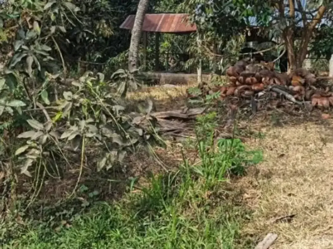 TANAH DI KUBUTAMBAHAN BULELENG - Image 4 of 6