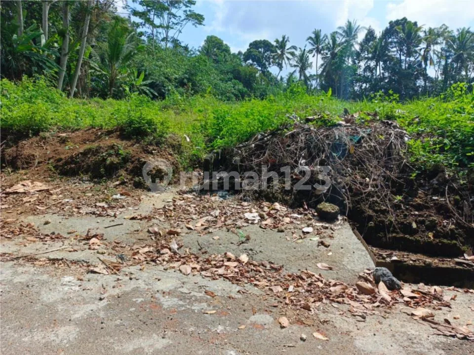 Dijual Lahan Murah 45 Are Sembung Mengwi Badung - Image 3 of 4