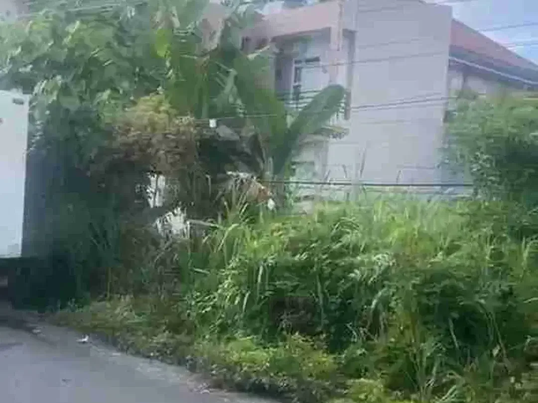 Tanah drupadi renon - Image 3 of 6