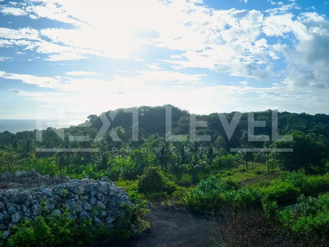 Dijual Tanah Kavling Los Tebing Ocean View Di Nusa Penida Bali - Image 5 of 8