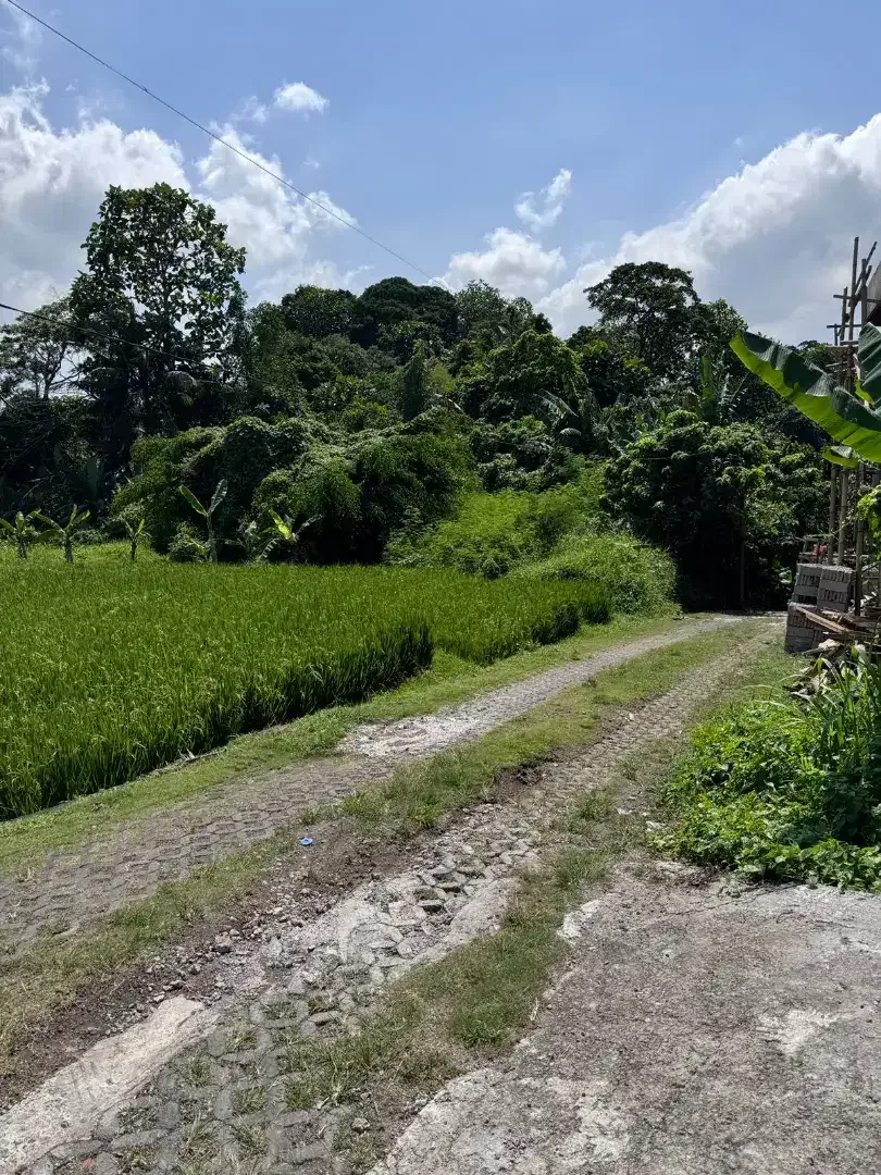 20mnit to Canggu, nyanyi beach - Image 2 of 3