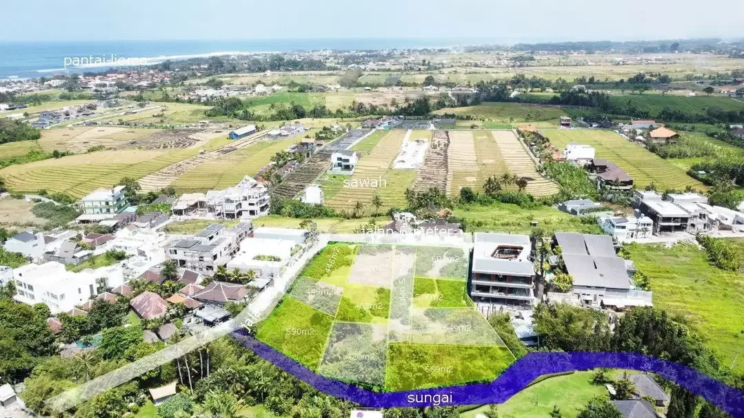 TANAH PERERENAN 800 METER PANTAI MURAH VIEW SAWAH GAK BIKIN SUSAH - Image 7 of 10