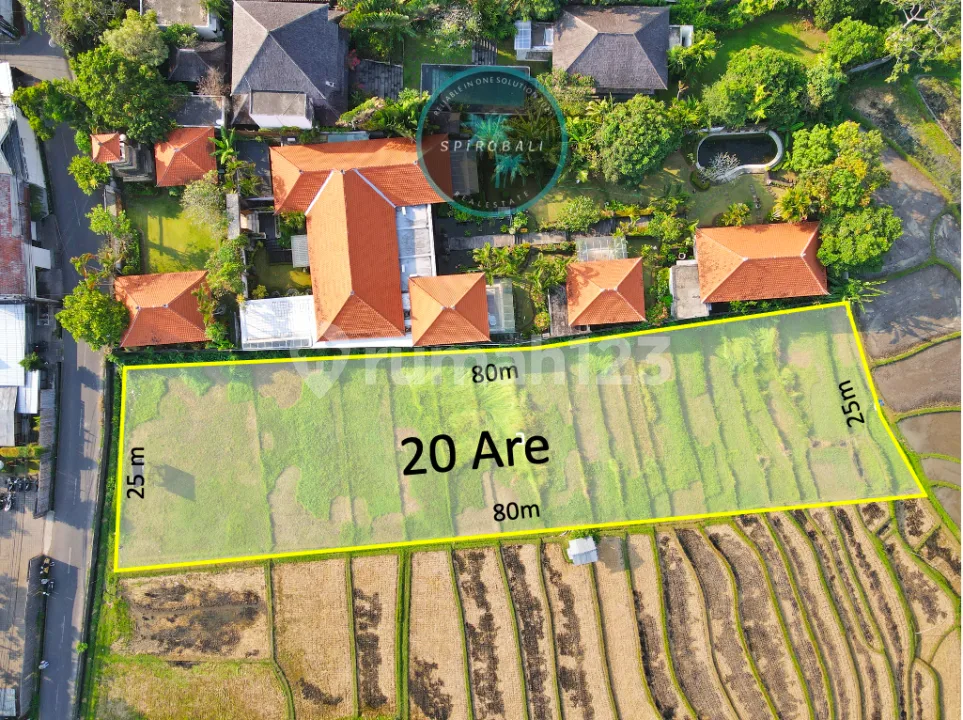 Dijual Tanah Premium di Umalas 20 Are - Image 1 of 4
