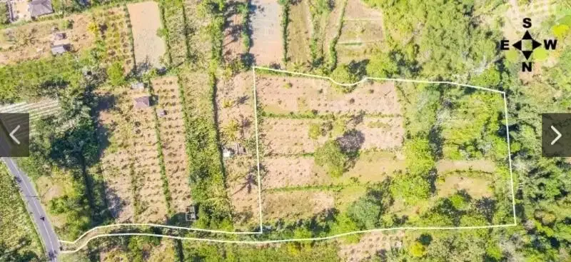 Dijual Tanah Payangan Kerta Untuk Retreat atau Kebun Organik - Image 7 of 7
