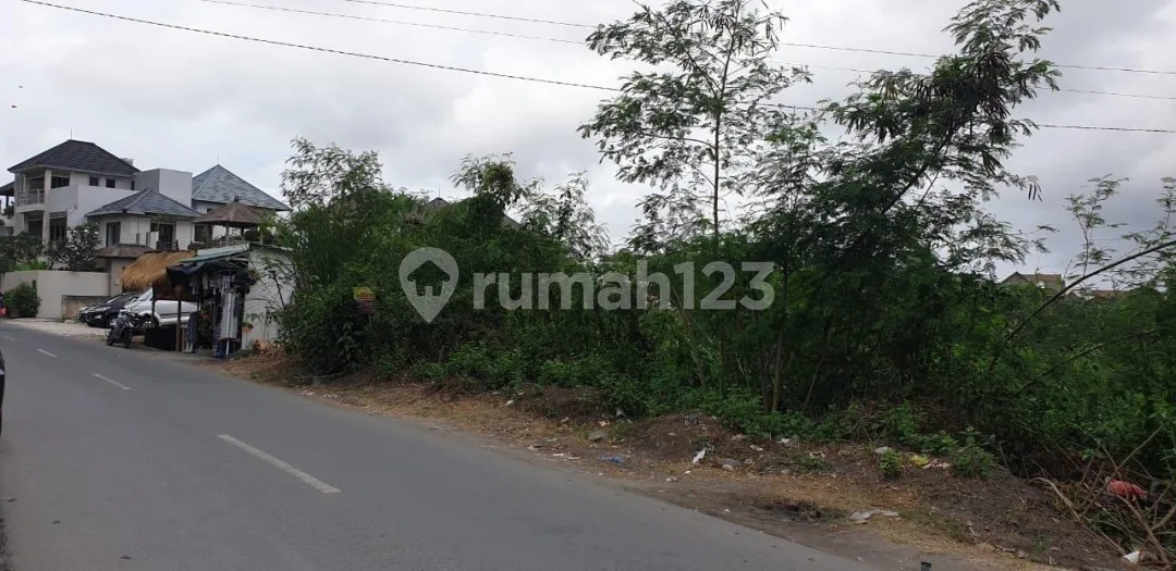 Hot Sale !!! Tanah Jual Premium Jl Pantai Batu Mejan , Canggu - Image 3 of 4