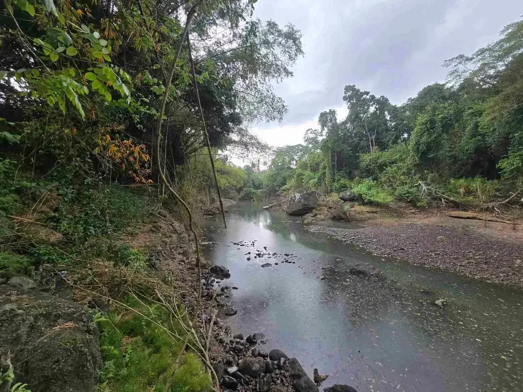 Dijuat tanah datar los sungai bebatuan di tabanan bali - Image 4 of 10