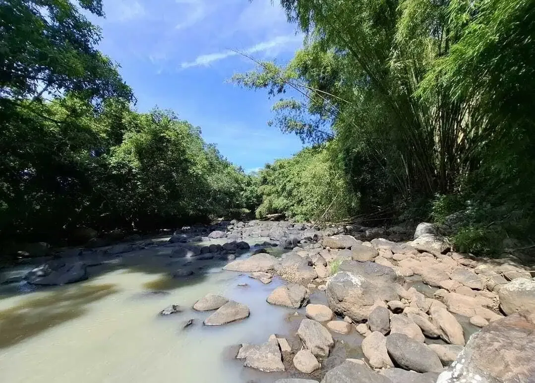 Dijual tanah dekat panta dengan sungai cantik di tabanan bali - Image 4 of 9