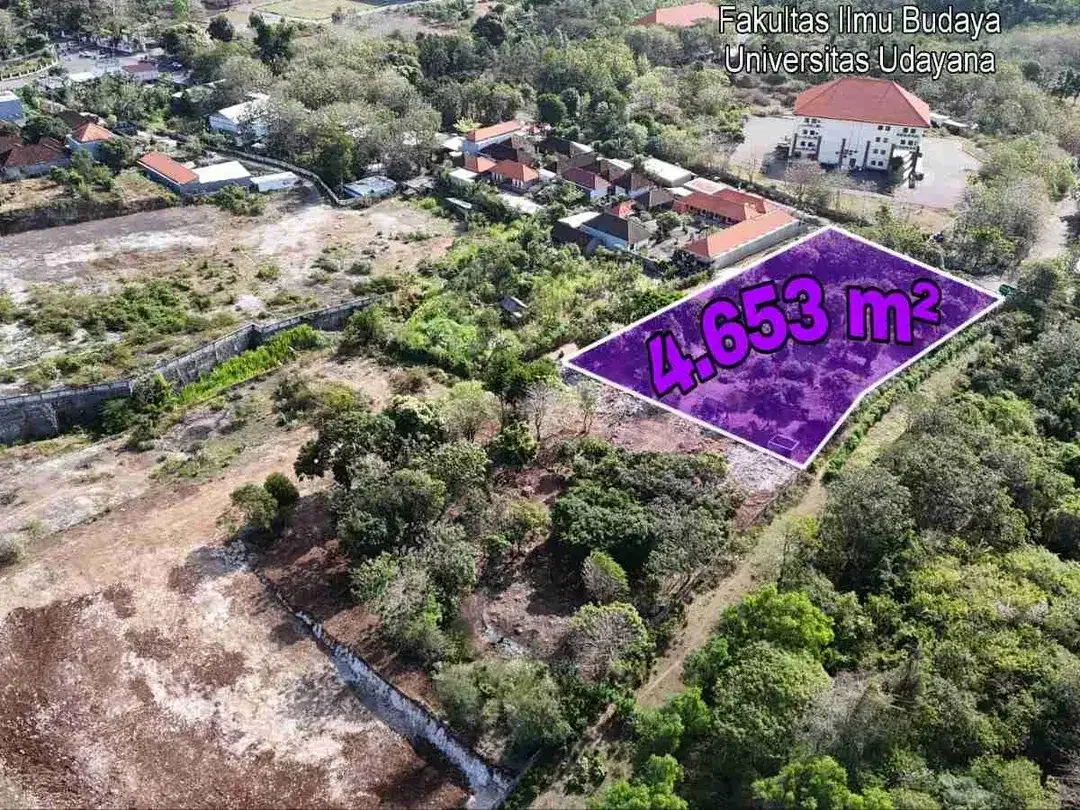 Tanah Murah 4.653m² Akses Jalan Besar Jimbaran - Image 5 of 10