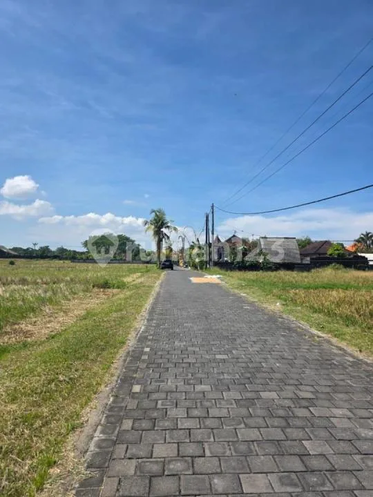 Dijual Tanah Siap Bangun Tabanan Bali - Image 1 of 1