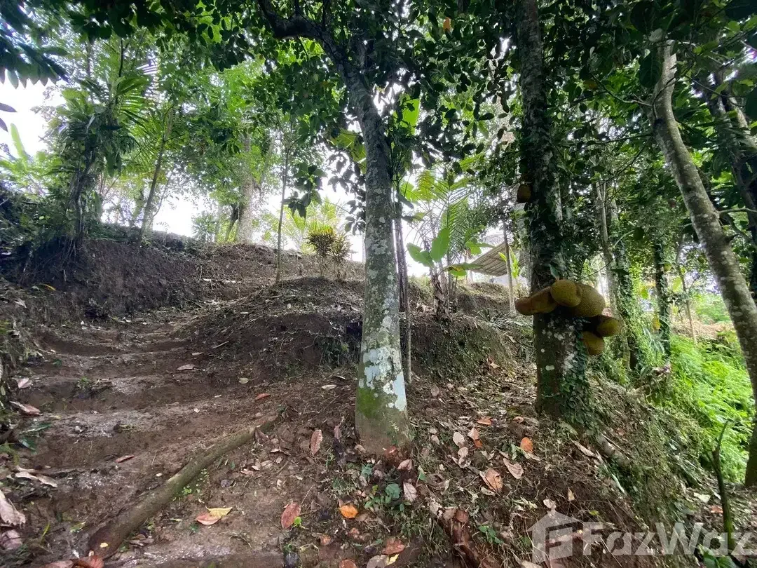 Land for sale in Tegallalang, Bali - Image 9 of 10