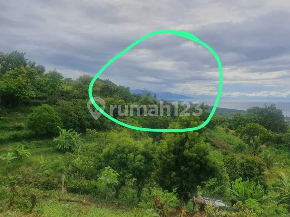 For Sale Fantastic Land With Ocean View On Aspal Road - Image 4 of 4