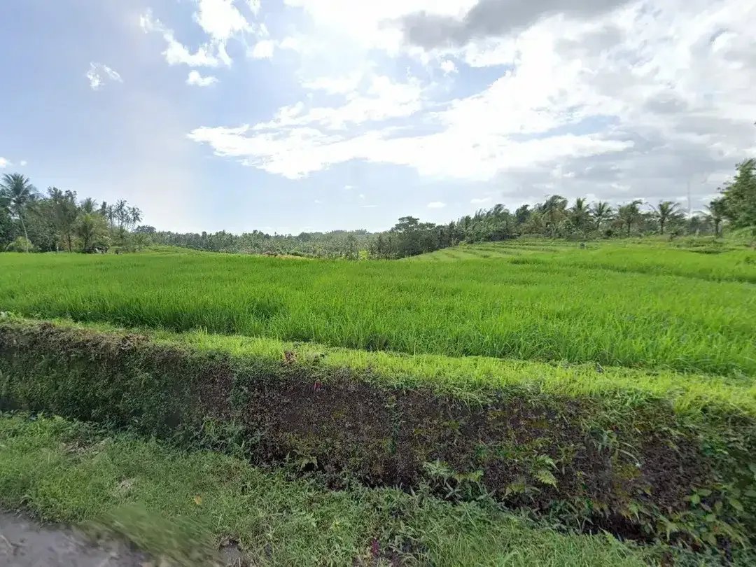 6580 sqm land for sale in an enchanting landscapes of Tabanan, Bali - Image 9 of 9