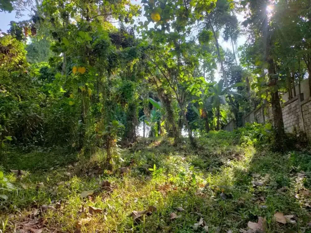 DIJUAL TANAH PINGGIR SUNGAI KAWASAN VILLA - Image 8 of 10