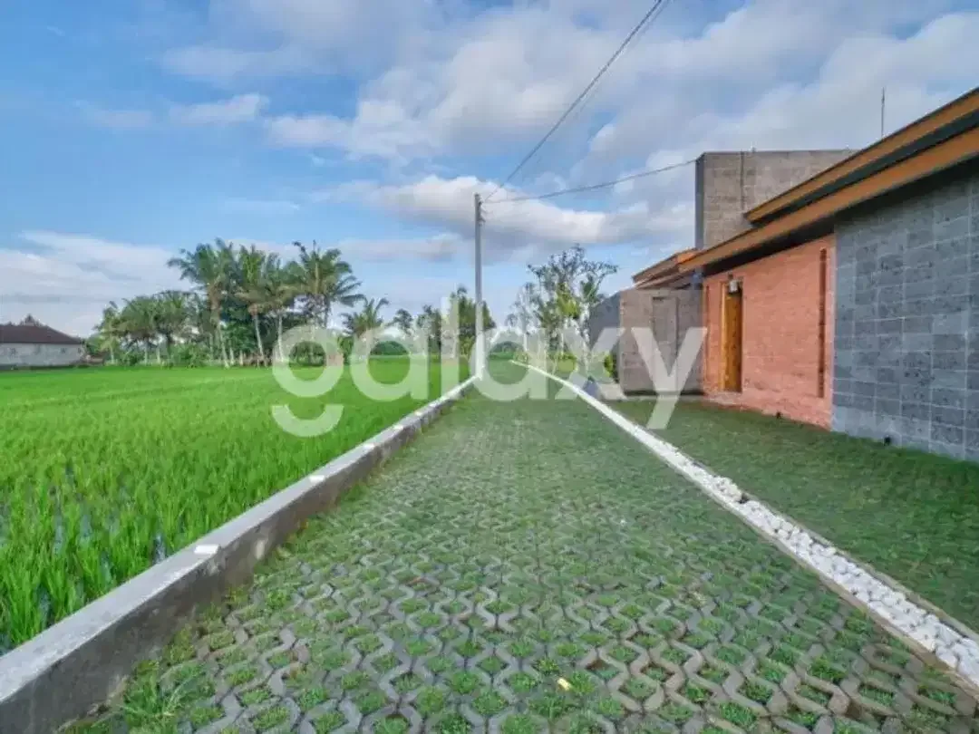 VILLA NEW TROPICAL MODERN MINIMALIS DI LODTUNDUH UBUD GIANYAR, BALI - Image 4 of 10