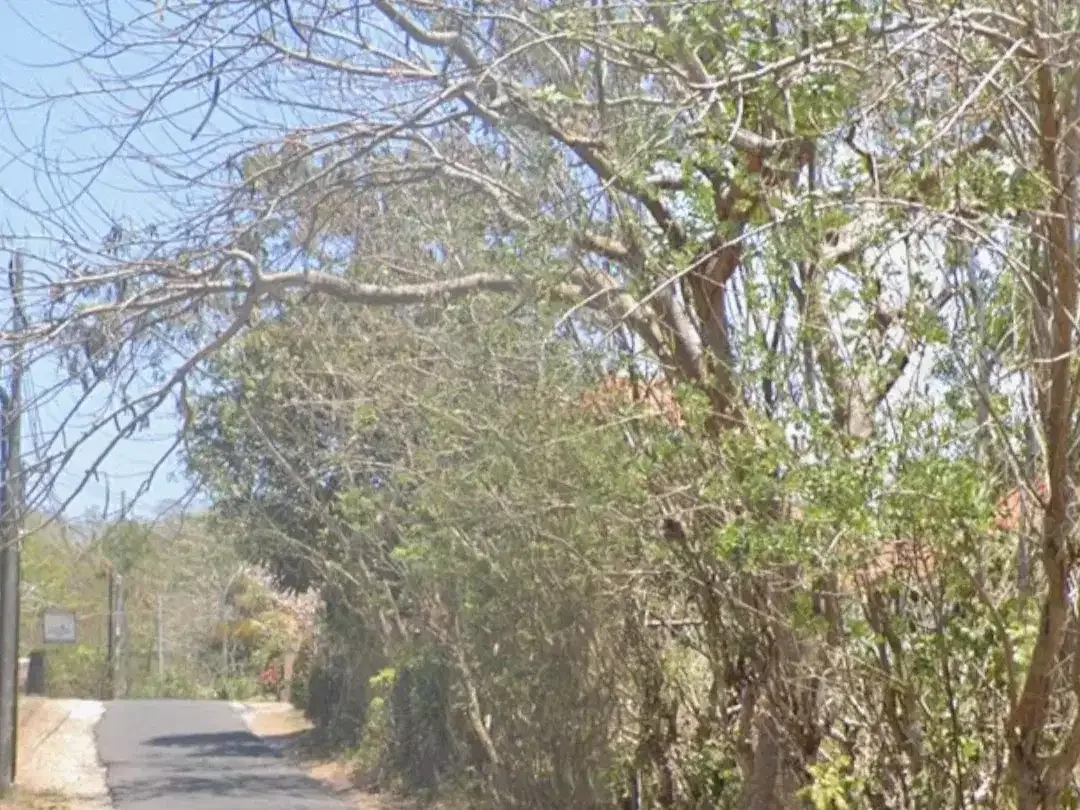 Land For Leasehold on the Main Road Belimbing Sari Pecatu - Image 1 of 3