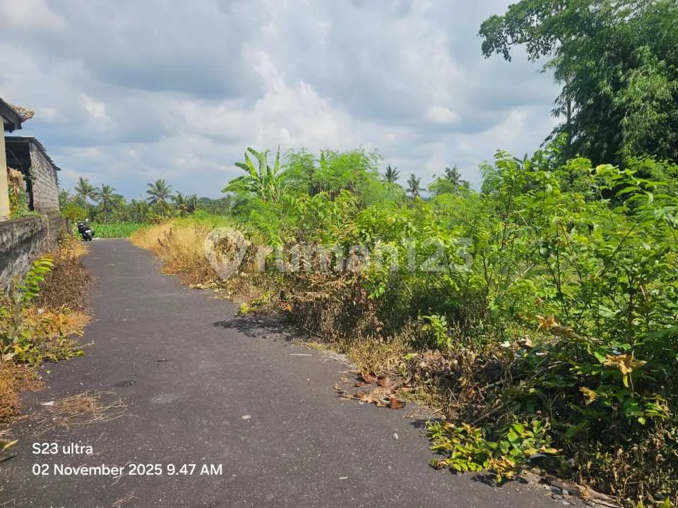 Dijual Tanah Lokasi Desa Gubug Tabanan Dekat Ke Pantai Yeh Gangga Tabanan - Image 4 of 4