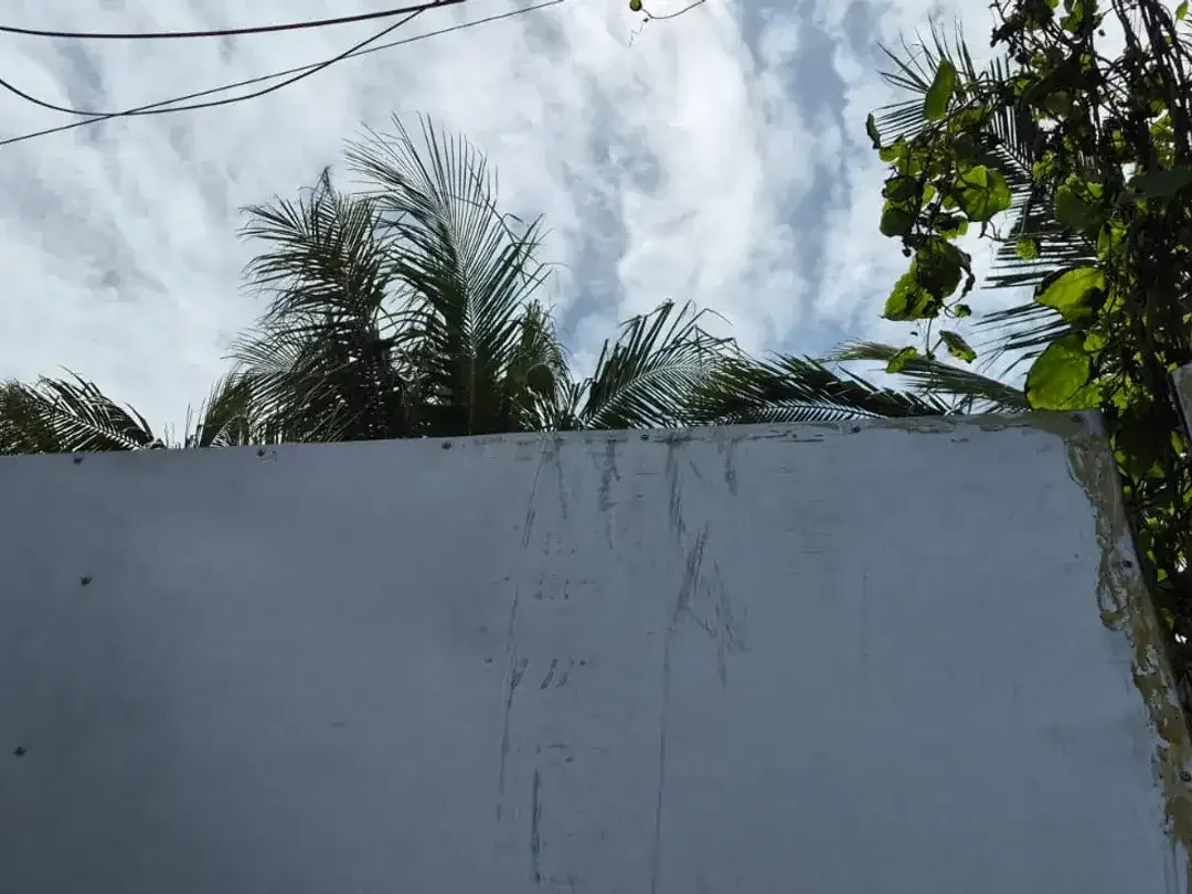 Leasehold - Rare Ultra-Prime Beachfront Land in Batu Bolong - 900 sqm Golden Investment Opportunity, Canggu, Bali - Image 9 of 10