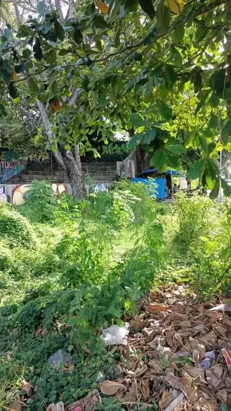 DIJUAL TANAH  DI JALAN RAYA KUTA - Image 4 of 6