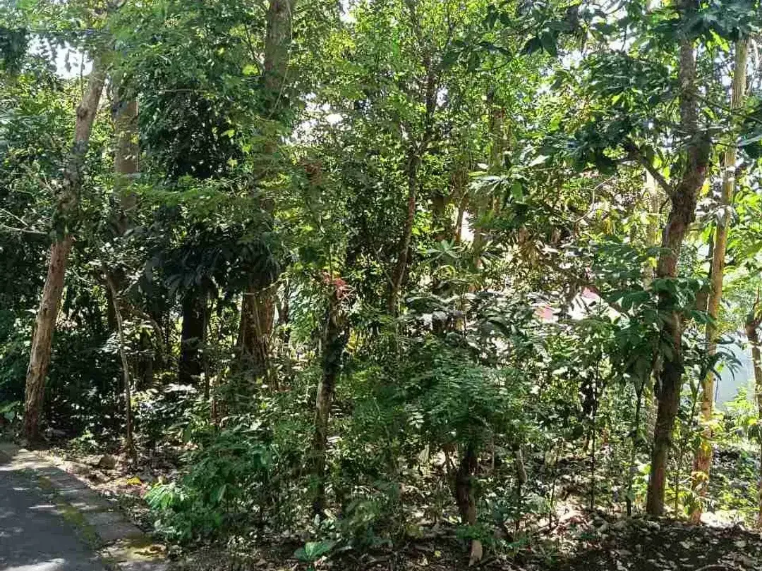 dijual tanah 26,77 are dekat Savaya villa Pecatu IDR 550 juta /are - Image 4 of 10