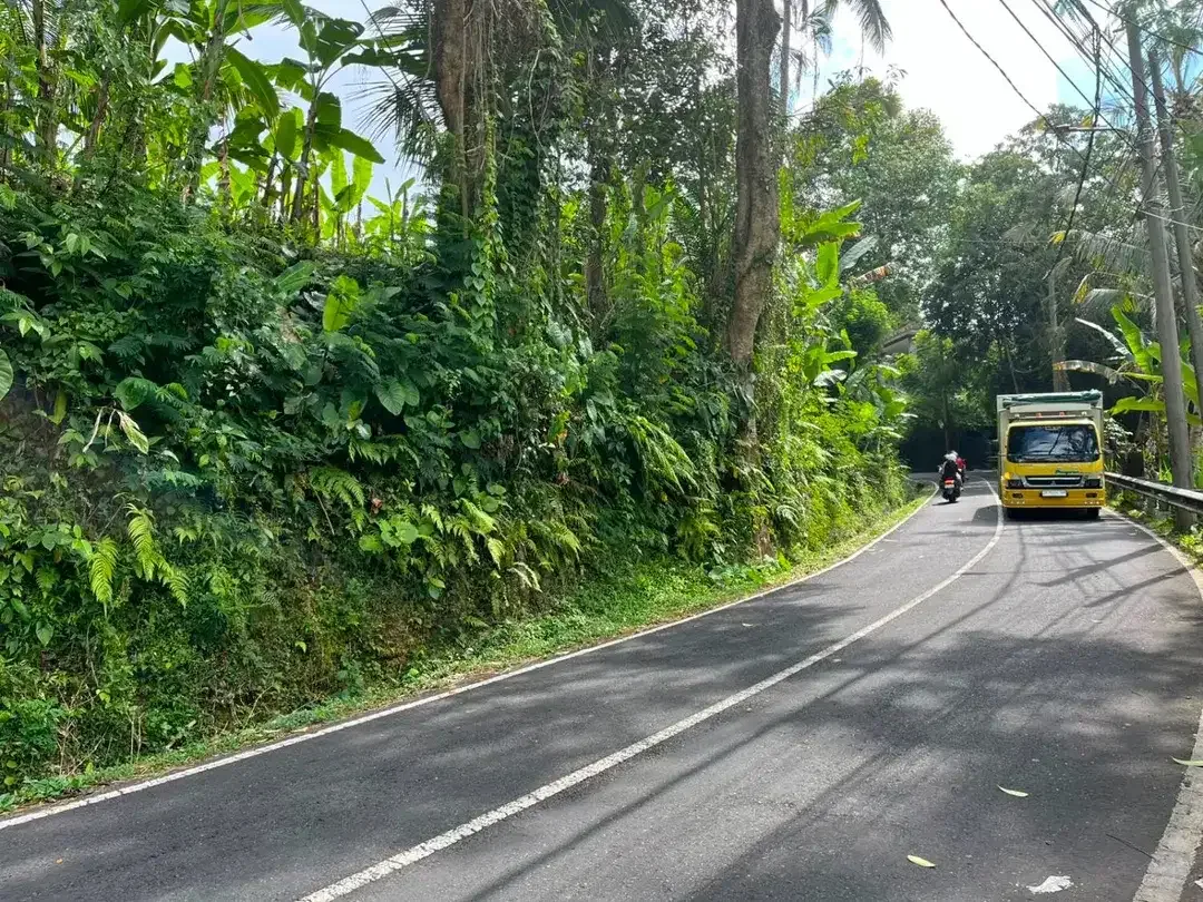 DIJUAL TANAH PREMIUM – PINGGIR JALAN UTAMA DESA BUAHAN, PAYANGAN – GIANYAR - Image 9 of 10