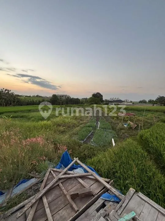 Tanah Kosongdi Seseh Badung Dekat Pantai Seseh - Image 3 of 4