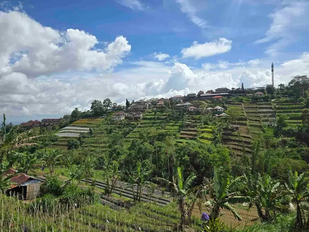 Dijual tanah murah view istimewa gunung lembah dan perkotaan di bedugul bali - Image 8 of 10