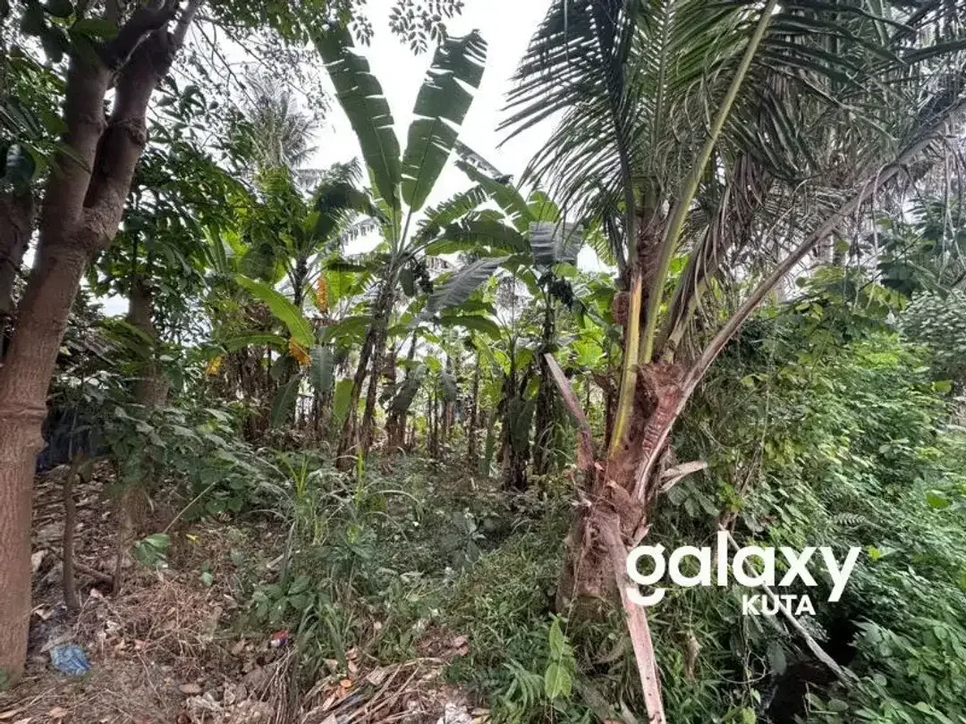 DIJUAL TANAH VIEW SAWAH DEKAT RS KASIH IBU DI TOJAN BLAHBATUH - Image 1 of 10
