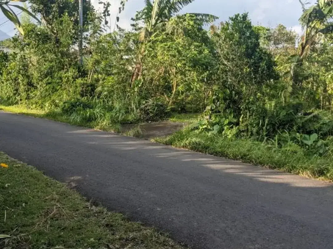 TANAH LOKASI STRATEGIS DI JATILUWIH TABANAN - Image 3 of 5