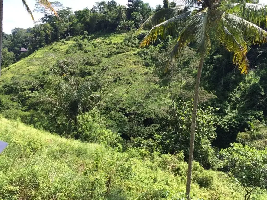 Tanah Tebing Dengan Panorama Hutan Dan Sungai di Ubud Bali - Image 5 of 10