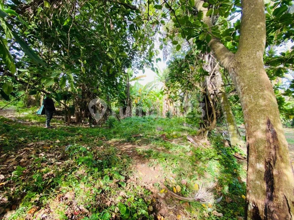 Tanah Bentuk Ideal Siap Bangun Strategis di Bali - Image 4 of 4