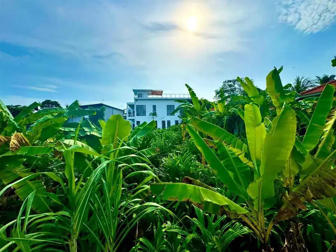 ID:H-125 Disewakan Leasehold Villa View Sawah Tumbak Bayuh Canggu Badung Bali Dekat Pererenan Kerobokan Tanah Lot Seminyak - Image 8 of 10