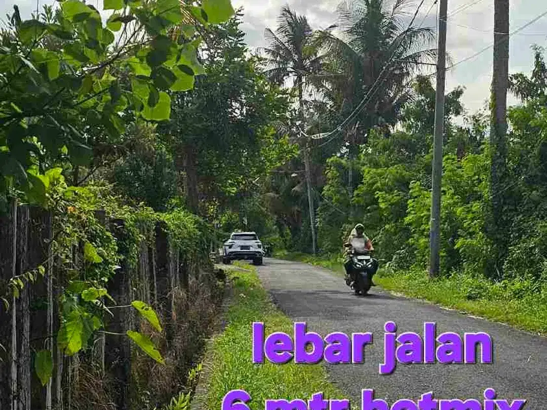 Jual Tanah 9,4are kawasan Pariwisata di Buwit area Tanahlot, Kedungu Tabanan Bali - Image 4 of 10