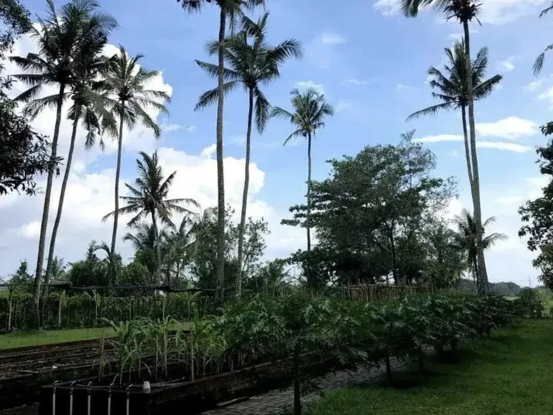 Land for sale in Kaba Kaba, Bali - Image 3 of 10