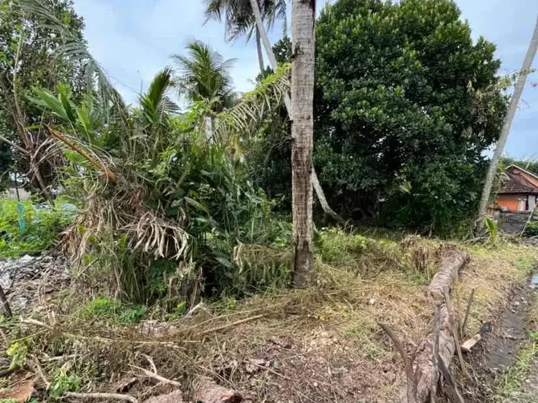 DIJUAL TANAH SAWAH 48.5 ARE DI KABA KABA CC - Image 3 of 5