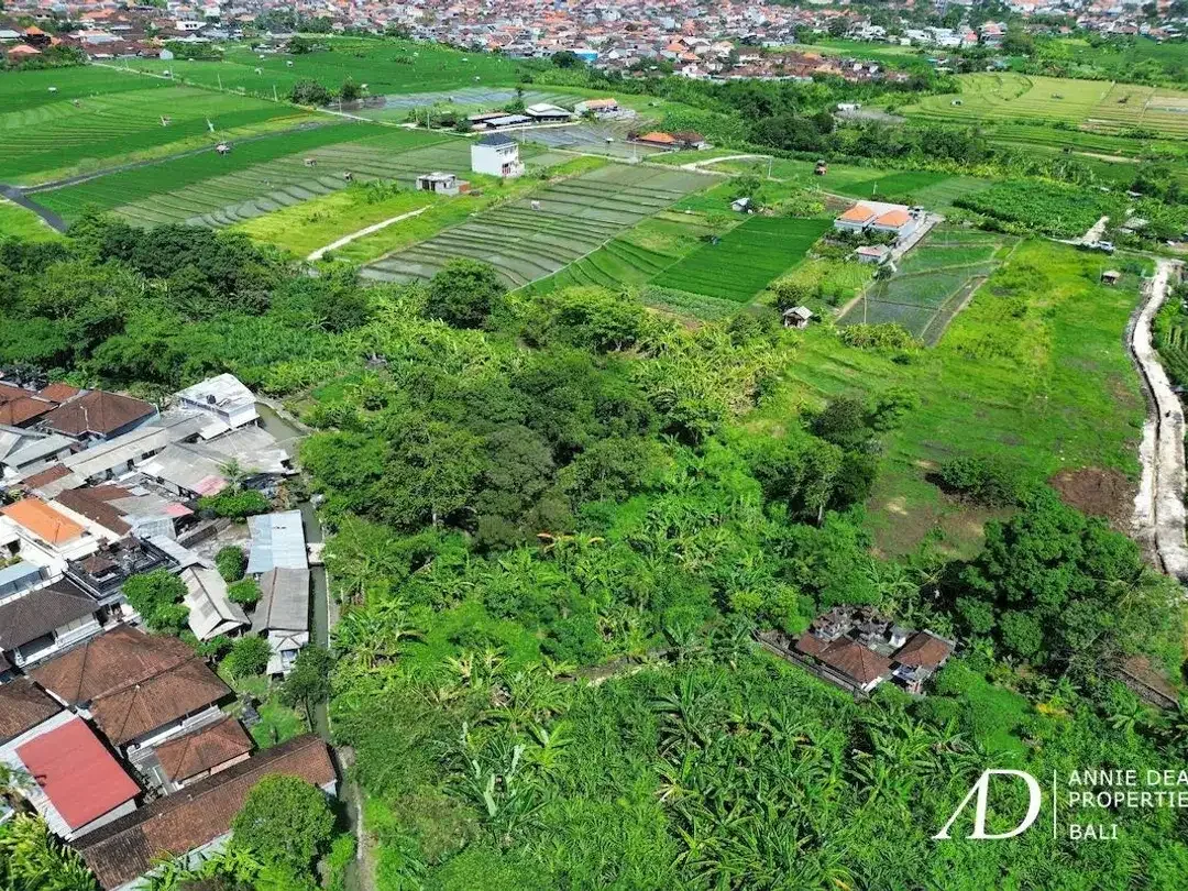 FREEHOLD & LEASEHOLD LAND OPPORTUNITY IN PADONAN - CANGGU - Image 1 of 10