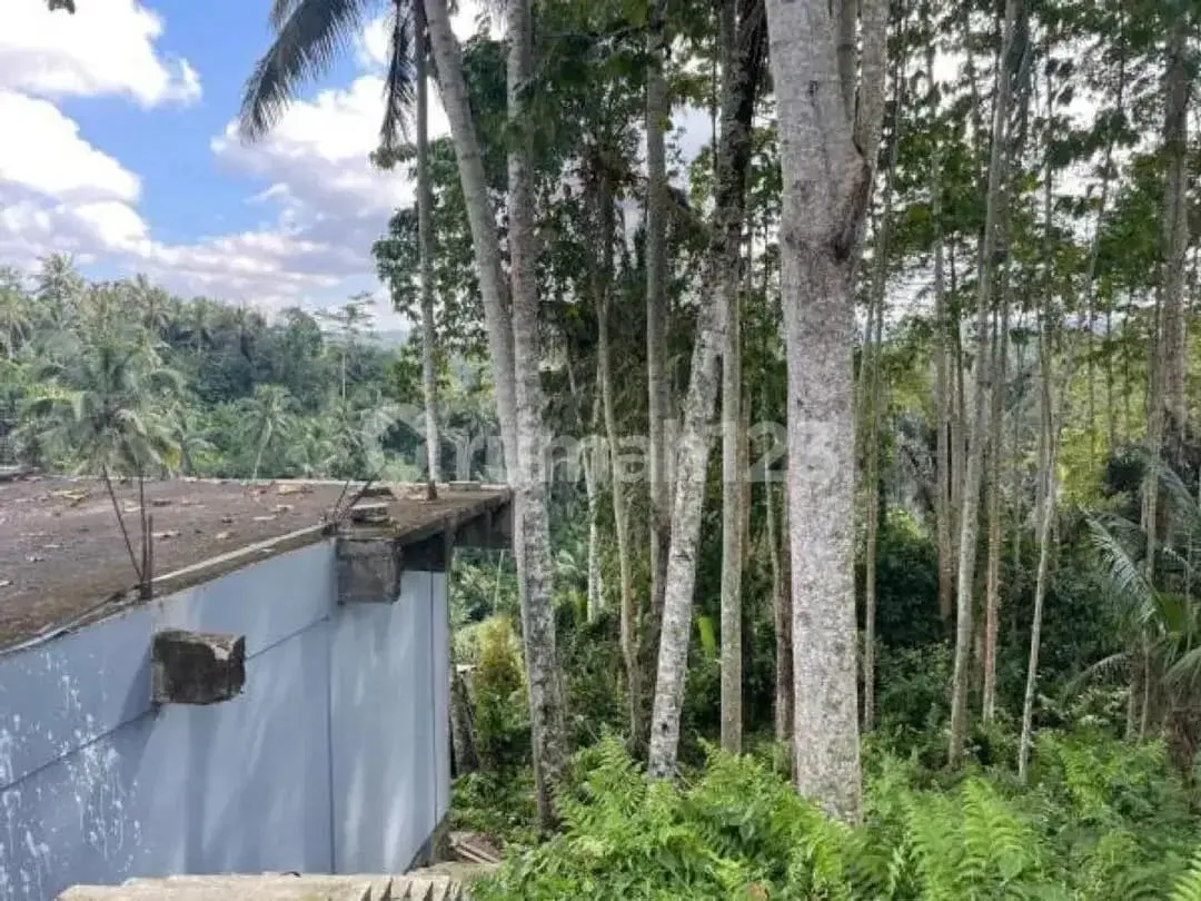 Jual Tanah Bonus 6 Villa Siap Huni Gianyar Ubud - Image 3 of 7